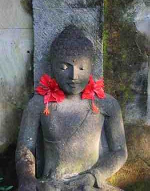 2buddha_ASC Buddha