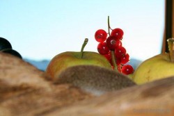 Wissenswertes zum Apfel  Paradiesfrucht Sommerfrüchte