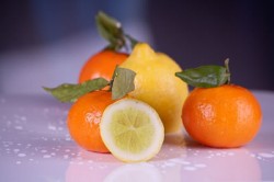 Zitrusfrüchte das Vitaminwunder Apfelsine und Zitrone