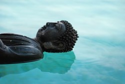 Achtsamkeit ist ein Geisteszustand Buddha im Wasser