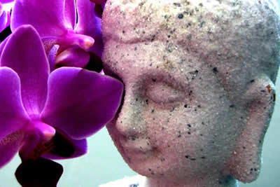 Buddha vor Orchidee