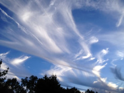 Synchronizität  Wolken wie Fäden