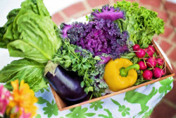 Ernährungstrends frisches Gemüse