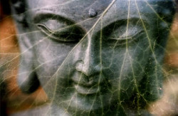 Spiritualität und Stille Blatt doppelt buddha