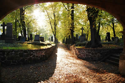 friedhof-cemetery