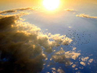 Astrologie und Tierkreiszeichen-Sonne-wolken-voegel-sunset