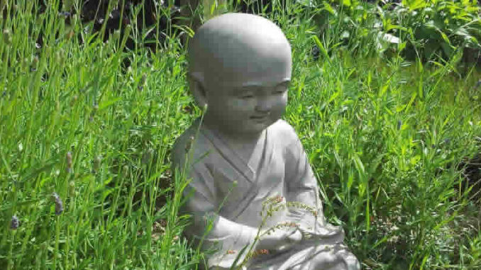 kindlich-wiese-buddha