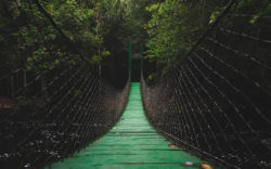 Dem Leben vertrauen bruecke haengebruecke urwald bridge