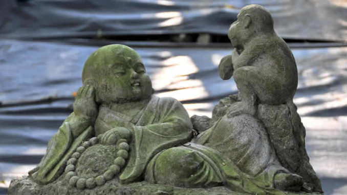 junge-buddha-affe-stone-carving-