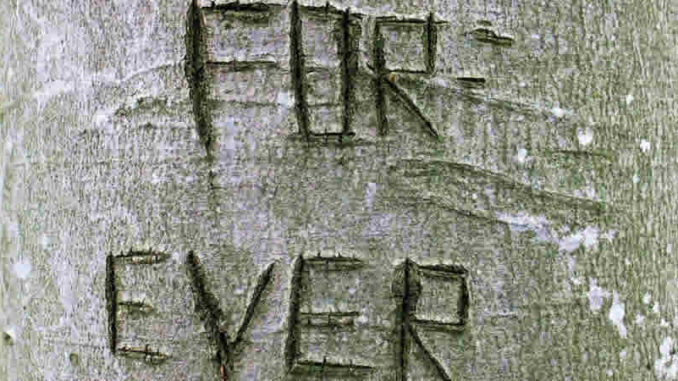 Baum-Versprechen-tree