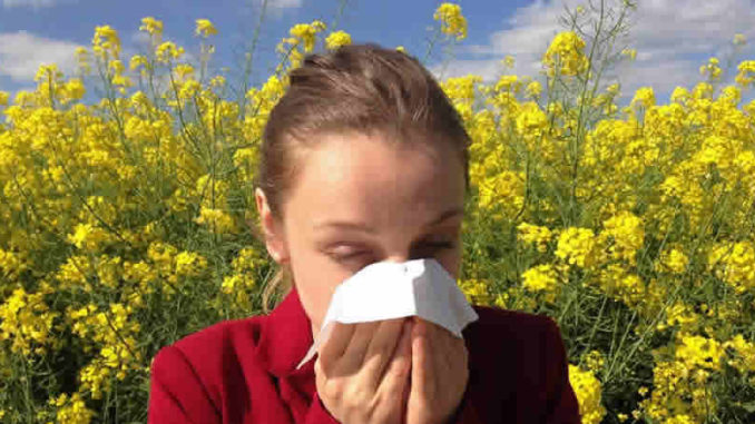 Allergie-Pollen-Frau-Raps-allergy
