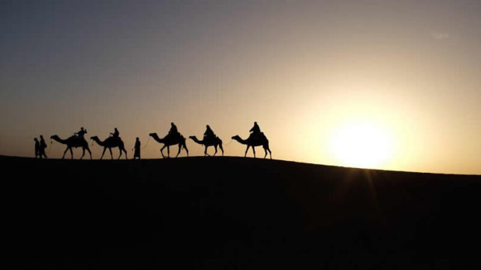 Kamele-Wueste-Abend-camels