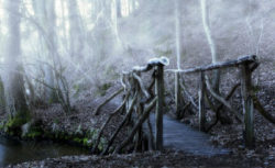 Spirituelle Kurzgeschichten bruecke nebel bridge