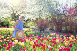 frau-blumen-spring