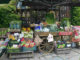 gemuese-greengrocers-handcart