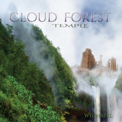 Wychazel-Cloud-Forest-Temple