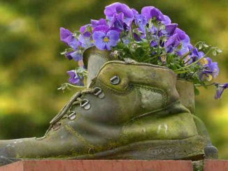 blumen-deko-boots