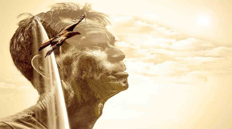 mann-vogel-photomontage