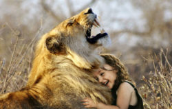 Botschaft hinter Tierkommunikation-loewe-maedchen-lion
