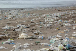 plastikmuell-Mikroplastik-in-wasser-erde-luft-garbage