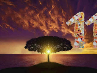 numerologie-11-baum-sonnenuntergang-tree