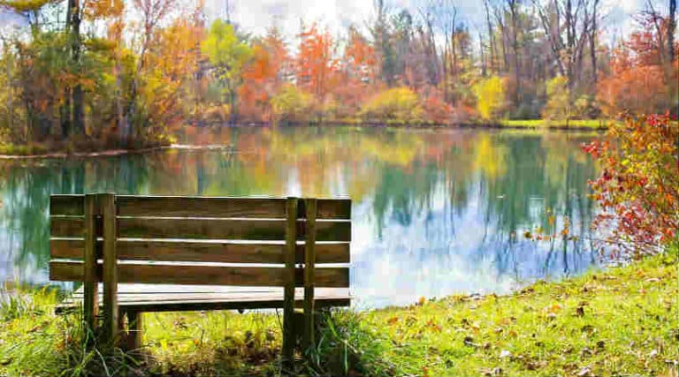 herbst-landschaft-see-wood-bench