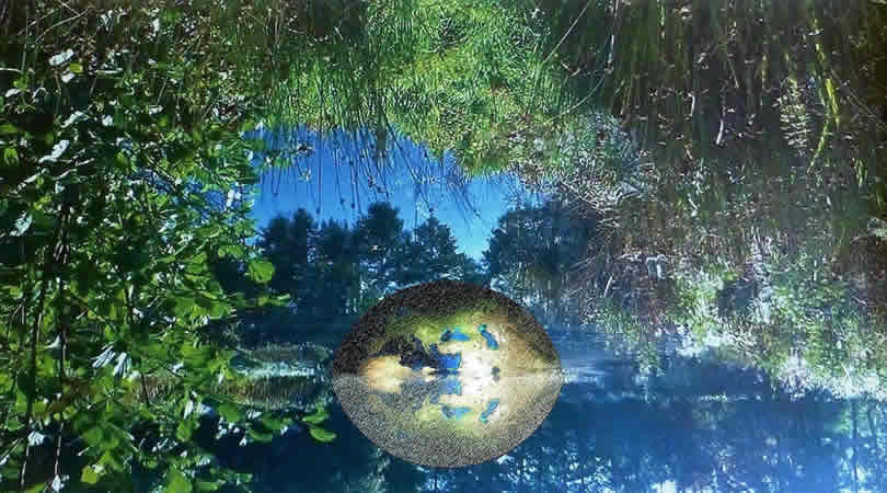 Globale Achtsamkeit: symbolische Erdkugel zwischen Blättern und Wasser