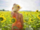 bestimmung-lebensaufgabe-fruehlingserwachen-sunflowers