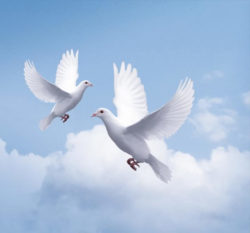 AMORC-Frieden-Bekenntnis