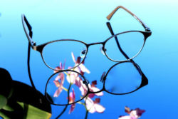 brille-blume-sehen-gesehen-wahr genommen werden-glasses