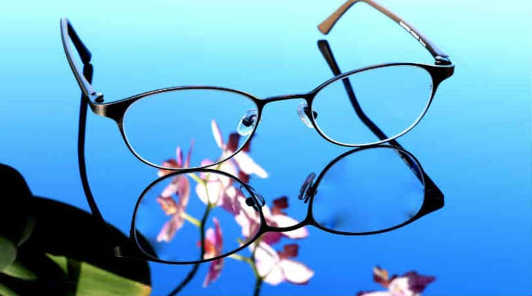 brille-blume-sehen-gesehen-wahr genommen werden-glasses
