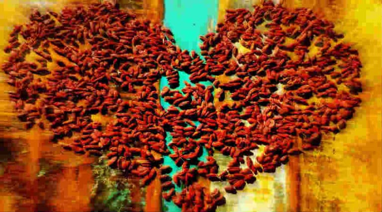 ich-bin-chaos-desaster-selbstliebe-selbstzweifel-heart