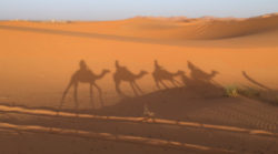 Marokko-ethnoTOURS-Alexandra-Stenner-desert