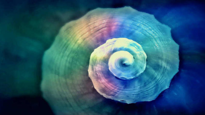 prinzip-der-entsprechung-dritte-universelle-gesetz-snail