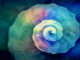 prinzip-der-entsprechung-dritte-universelle-gesetz-snail