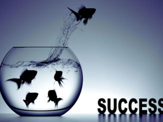 Erfolg Fisch springt aus dem Glas