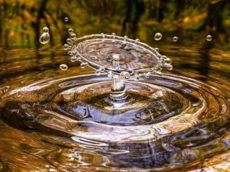 Wasser-Bewegung-Herbst-drop