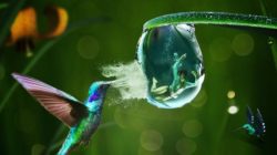 Bewusstsein des Menschen kontrolle Vogel Wasserblase mit Mensch rescue