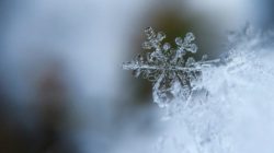 schnee-eis-kristall-snowflake
