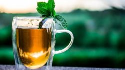 Moderne Fastenzeit 5 Diäten im Vergleich ayurveda fasten neutlzer teacup