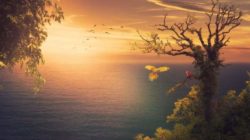 macht-paradies-natur-sea