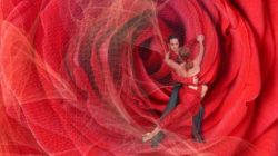 Partner Körperwahrnehmung hingabe leidenschaft tanz dance