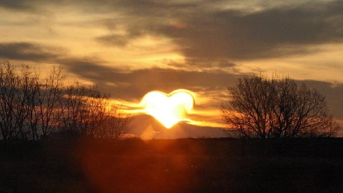Lichtarbeiter – Symbolbild mit herzförmigem Sonnenlicht zwischen Bäumen
