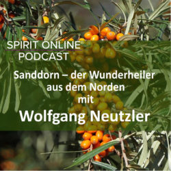 Podcast-Neutzler-Sanddorn