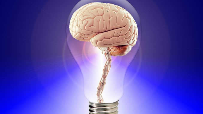 neowake-mental-training-brain