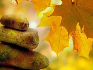 steine herbst yoga meditation