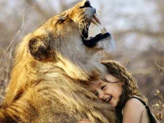kind loewe angst liebe lion