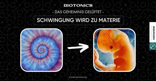 neowake Biotonics Werbeanzeige 13