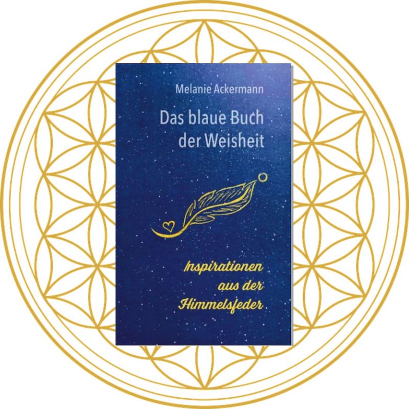 Cover-Buch-Blume-Melanie-Ackermann