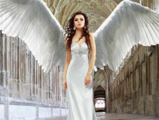engel gebaeude angel